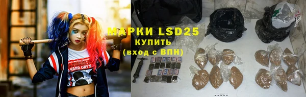 ГАЛЛЮЦИНОГЕННЫЕ ГРИБЫ Бронницы