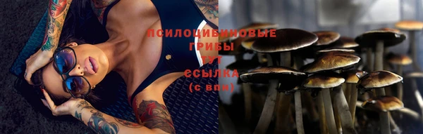 ГАЛЛЮЦИНОГЕННЫЕ ГРИБЫ Бронницы
