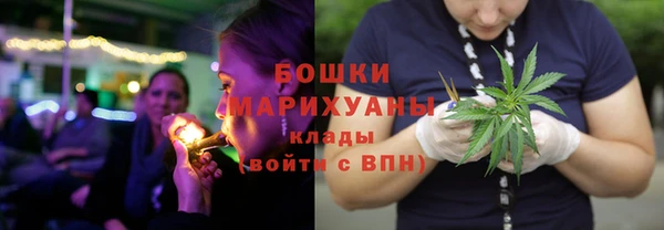 ГАЛЛЮЦИНОГЕННЫЕ ГРИБЫ Бронницы